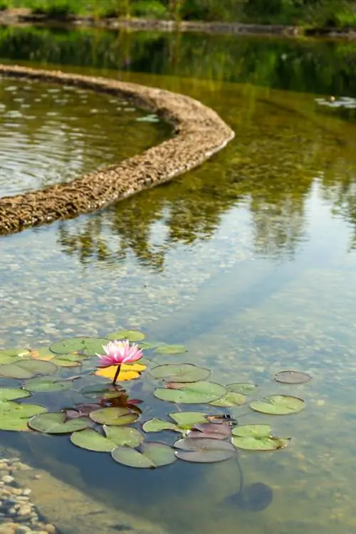 Kolam dengan parit penapis