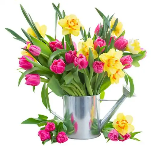 Tulipes et jonquilles : astuces pour une association harmonieuse