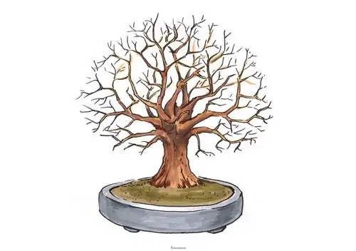 Bonsai yarpaqlı ağac