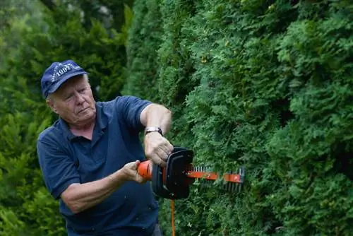 hedge cutting