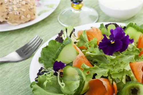 Eetbare gehoornde viooltjes: heerlijke bloemen voor in de keuken