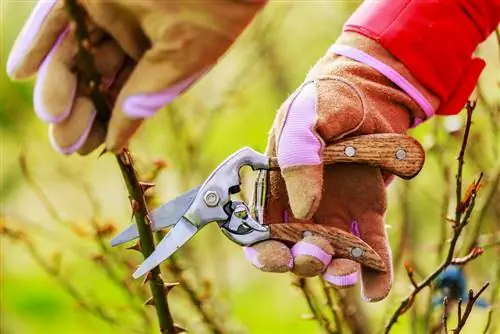 gardening