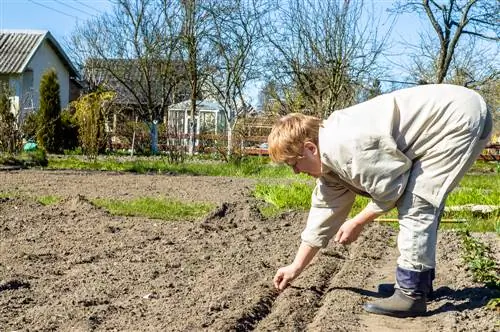 gardening