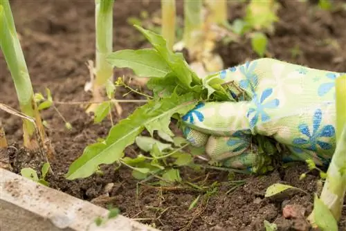 gardening