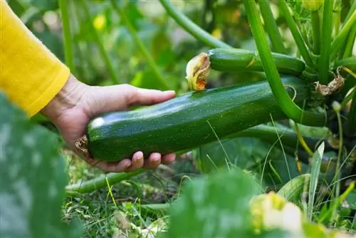 gardening