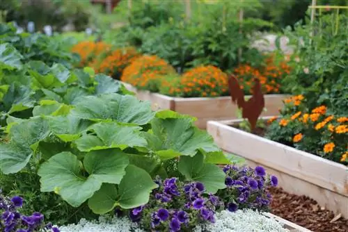 boekpresentatie-van-de-biologische-tuin