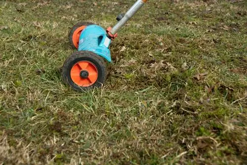 Combattez la mousse avec succès