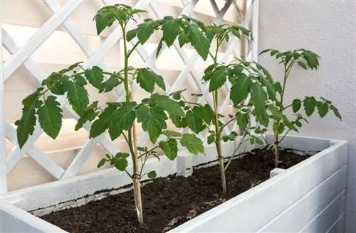 raised bed balcony