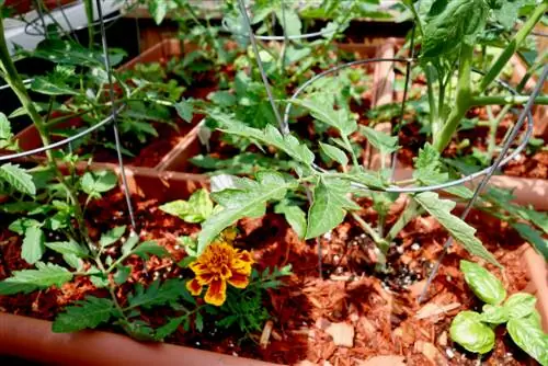 raised bed balcony