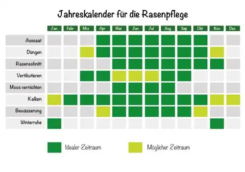 Maysazorni parvarish qilish: maysazorni parvarish qilish uchun yillik taqvim