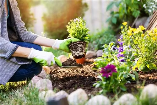 creating a flower bed