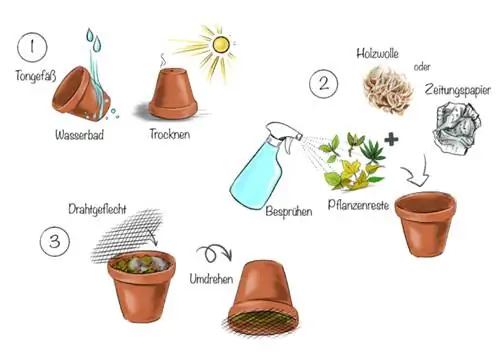 Woodlouse: trampa d'olla de fang de bricolatge