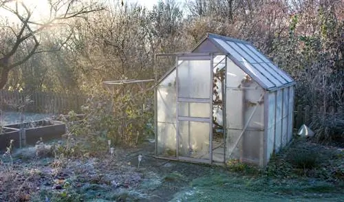 Greenhouse winter