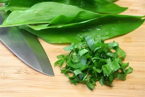 Eat wild garlic raw