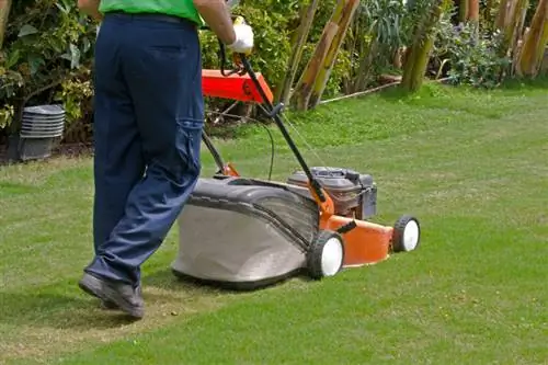 Mowing the lawn: What time is allowed and when is it forbidden?