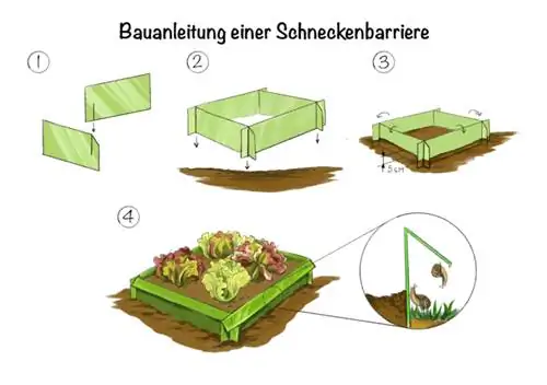 Nudibranhii: instrucțiuni de construcție pentru o barieră de melci