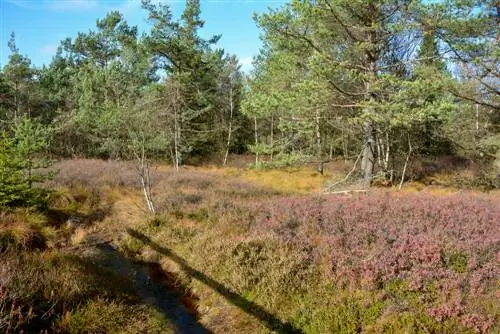 biotope