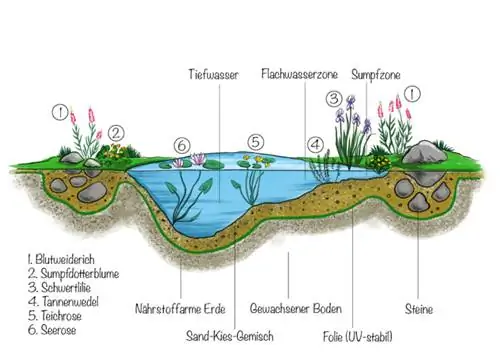 نمونه ای از بیوتوپ