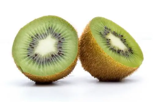 Kiwi rijpt