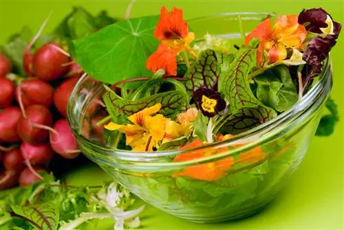 Preserving nasturtiums