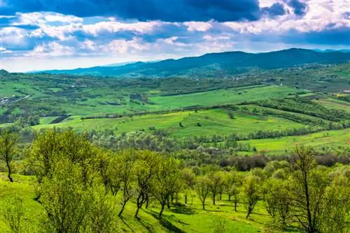 voćnjak livada