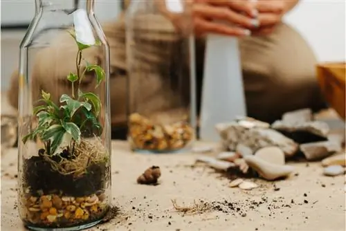 bottle garden