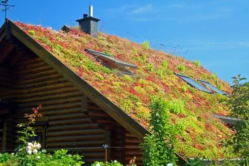 green roof