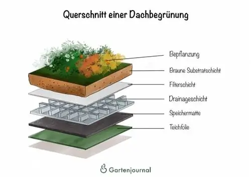 Dwarsdoorsnede van een groendak