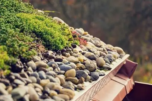 Green Roof