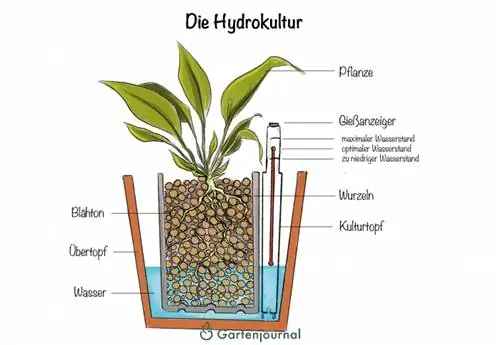 Hydroponics