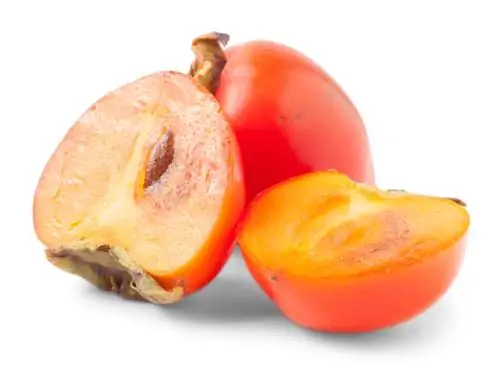 Persimmon frön