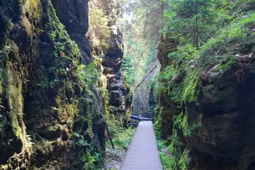 Get out into nature: discover gorges