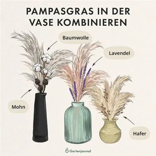 Vase vir pampasgras as illustrasie