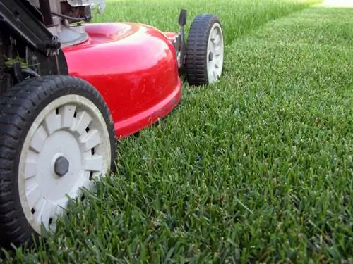 Perawatan rumput menjadi mudah: Mesin pemotong rumput dengan fungsi mulsa