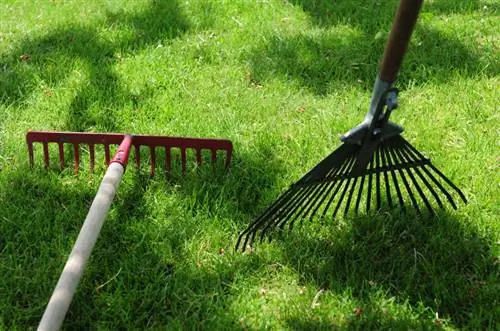 Lawn care: The 10 best tips for a lush green lawn