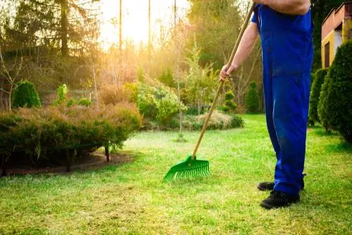 Pacciamatura del prato: come farlo e perché ha così senso