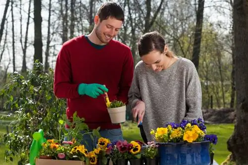 Cómo cultivar con éxito tus propios pensamientos: consejos y trucos