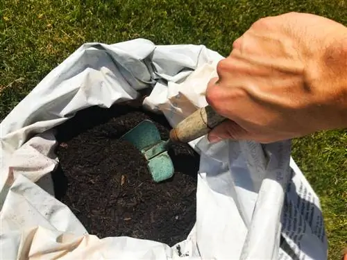 ants in potting soil bag