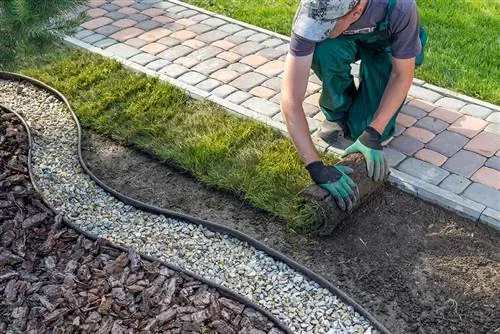 Rumput sedang diletakkan