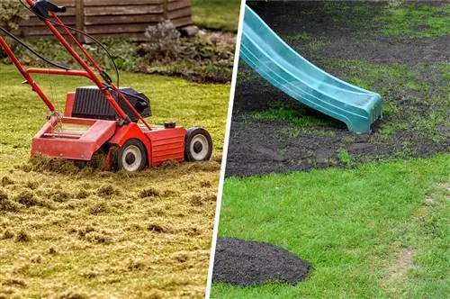 Het gazon verticuteren en opnieuw zaaien