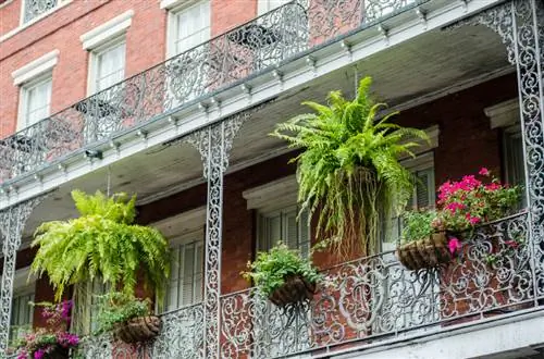 Varen op het balkon: Zo creëer je een groene oase