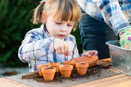 Vermenigvuldig zelf prachtige sleutelbloemen: tips en methoden