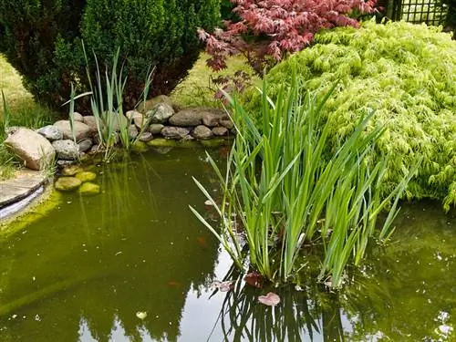 Repair pond liner underwater