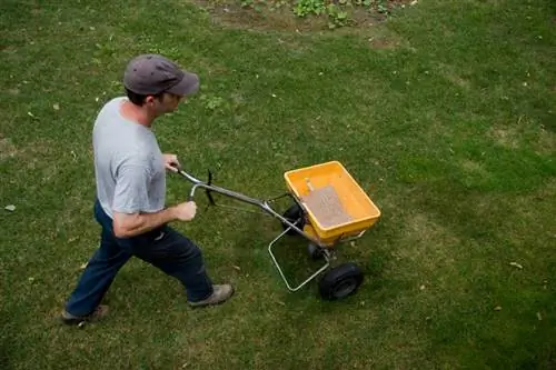 Memupuk halaman rumput: 10 tips terbaik untuk halaman rumput yang sehat