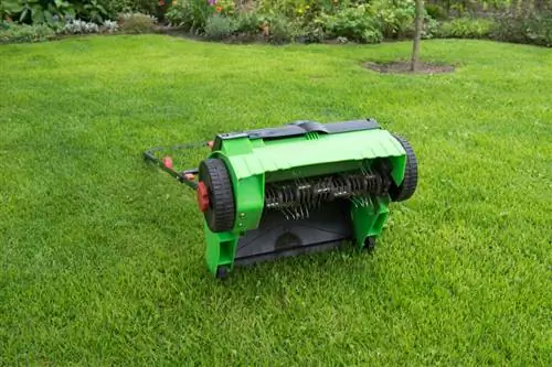 Aerate lawn