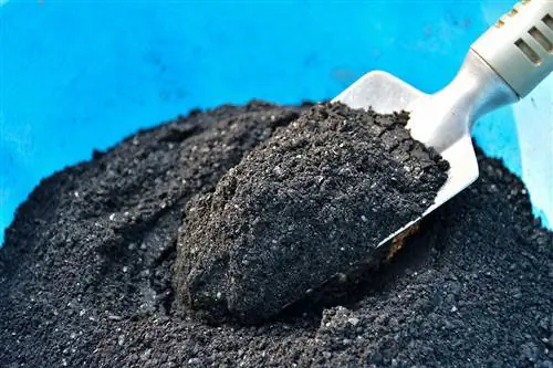 Biochar negre en una galleda blava