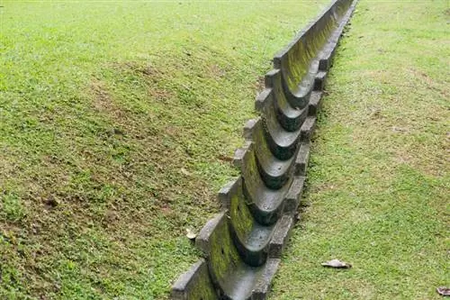 Mengeringkan padang rumput: Tindakan praktis untuk tanah kering