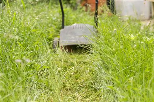 Mulching meadows: When does it make sense and when does it not?