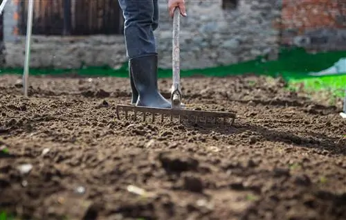 Plijesan u tlu - mjere pomoći