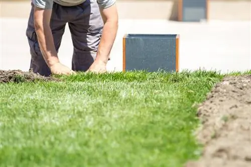 Taman padang rumput: selangkah demi selangkah menuju surga ekologi